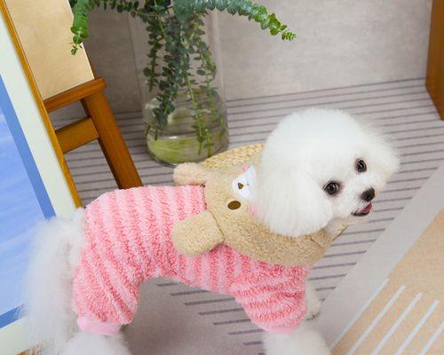 以狗看人（解读狗狗眼中的衣着语言，衣服色彩的重要性）