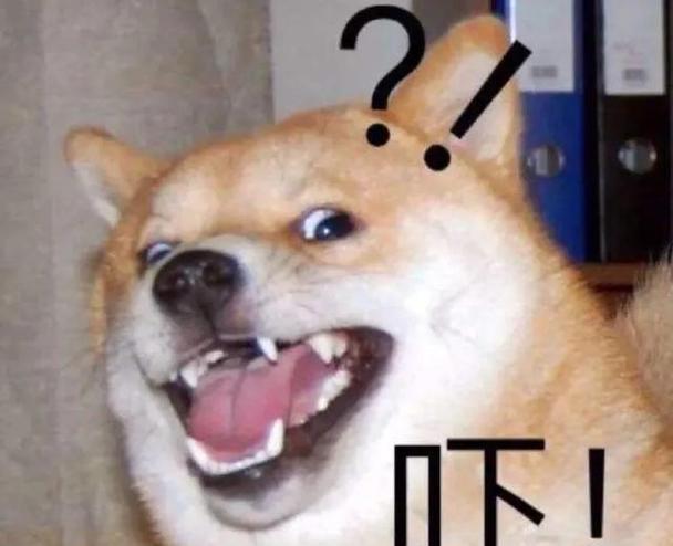 狗的最大恐惧——孤独感（探索狗对孤独感的深度恐惧以及如何帮助它们克服）