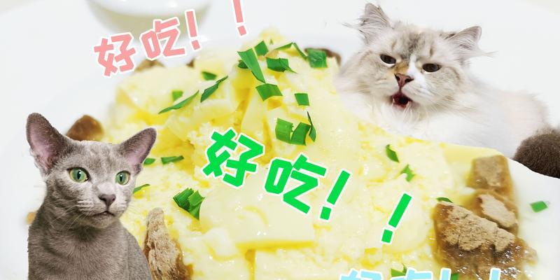 为什么以成犬吃奶糕不好？（探讨成犬摄入奶糕的潜在风险和影响）