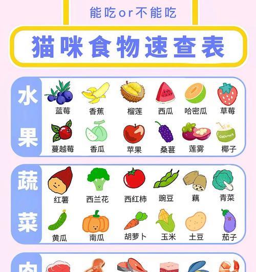 猫怀孕期间需要食用什么食物？（为了健康育出可爱的小猫，猫妈咪需要吃这些食物！）