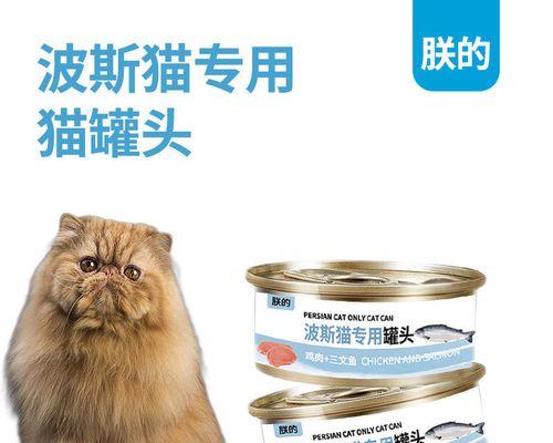 波斯猫怀孕期间的饮食指南（保证波斯猫健康孕育的关键食物）