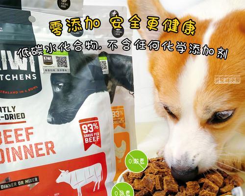 狗的蛋白需求及适宜食物选择（为你的爱犬提供全面均衡的蛋白质）