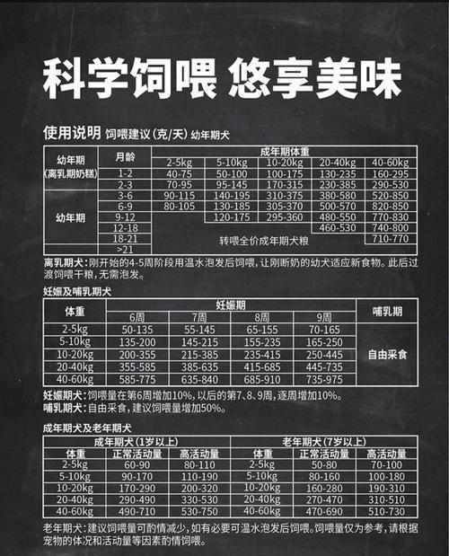 灰色泰迪狗粮推荐（为你的灰色泰迪选择合适的狗粮）