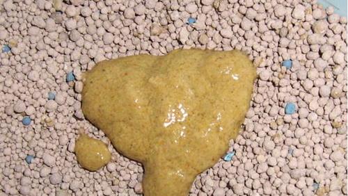 拉大便不成形的原因及处理方法（探讨拉大便不成形的病因和预防措施）