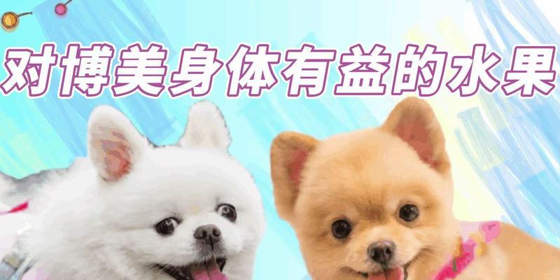 博美犬的健康水果饮食（适合博美犬的水果及其营养价值）