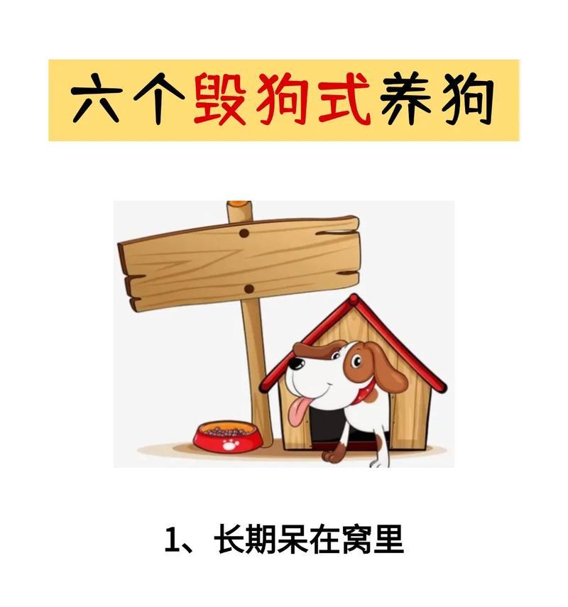 养狗前的必备条件（打造舒适宜居的狗生活环境）