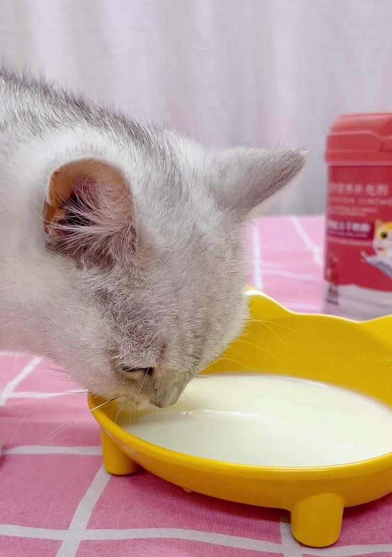 小奶猫怎么喂养才健康？（选择合适的奶粉是关键！）