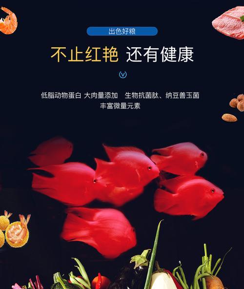 鹦鹉鱼苗的饲养之道（科学饲养让鹦鹉鱼苗健康成长）