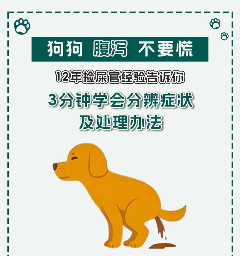 养金毛犬需注意的要点（如何正确照顾你的金毛宝贝）