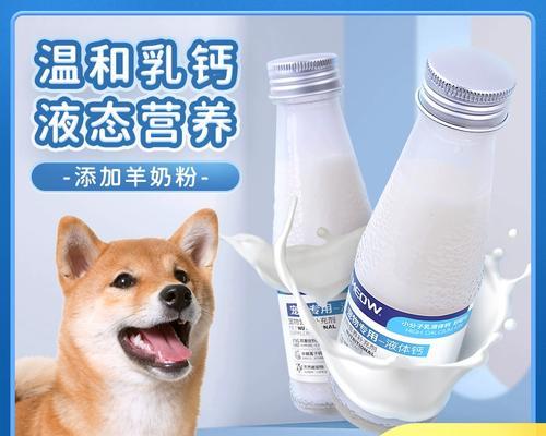 柴犬补钙的时机及方法（关键时刻，如何给柴犬补充足够的钙质？）