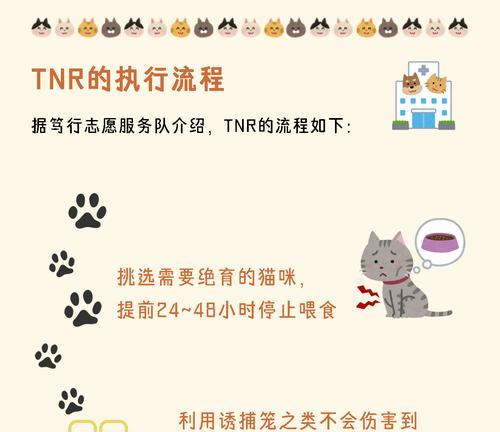 流浪猫绝育的重要性（为了控制流浪猫数量和维护人与动物的和谐共处）