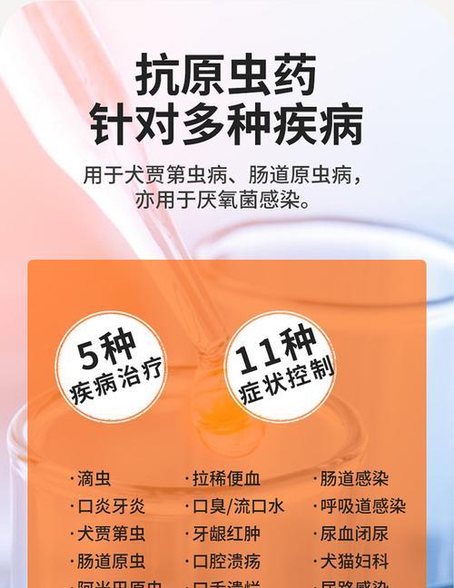 狗病了，吃什么药能缓解呼吸困难？（为你的宠物提供安全有效的治疗方案）