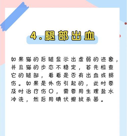 探秘猫咪走路不稳的奥秘（解析猫咪身体结构，揭开走路不稳的秘密）