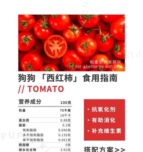 小狗受伤了，该吃什么药？（保护小狗健康的救命良药）