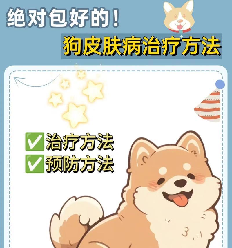 治疗狗皮肤病的药物及其应用（选择适合狗病情的药物是治疗皮肤病的关键）