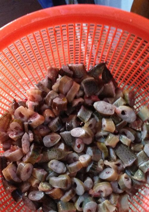 银龙鱼的饲养之道（科学饲养银龙鱼，健康生长无忧）