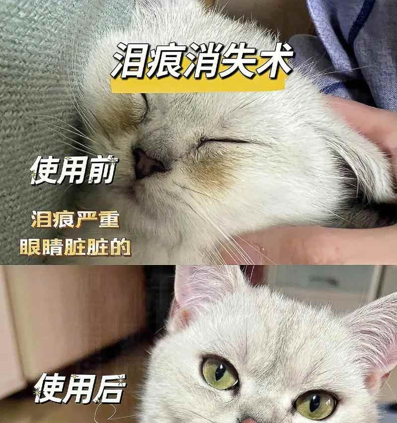 揭秘眼屎的成因及其意义（为什么我们的眼睛会生出眼屎？眼屎到底有什么用？）