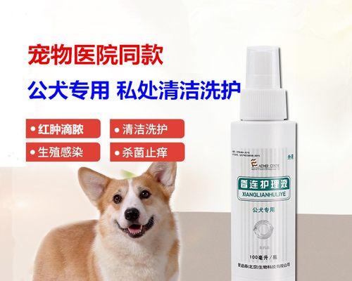 狗狗鸡鸡出来红，走进人们的心灵（狗狗鸡鸡展现真实可爱，传递温暖和快乐）