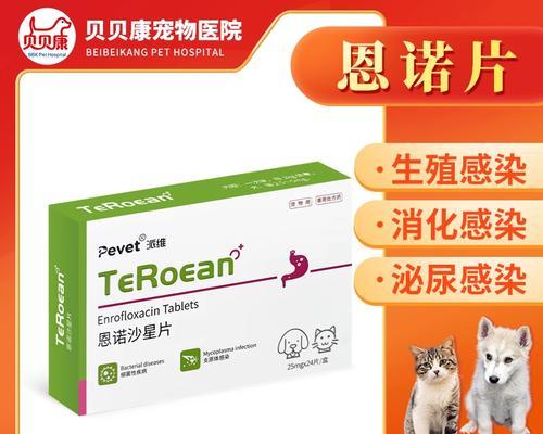 狗狗子宫蓄脓的治疗方法（以何种药物为主治疗狗狗子宫蓄脓？）