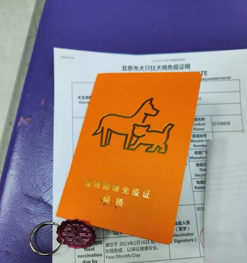 狗抗体检测（了解狗抗体检测的重要性及其应用领域）