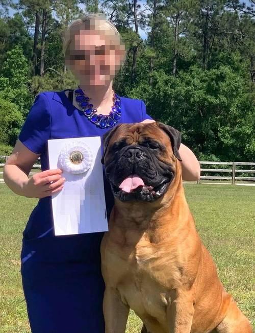 高大聪明的狗——人类最忠实的伙伴（以其智慧和力量，狗种族在人类生活中发挥着重要作用）