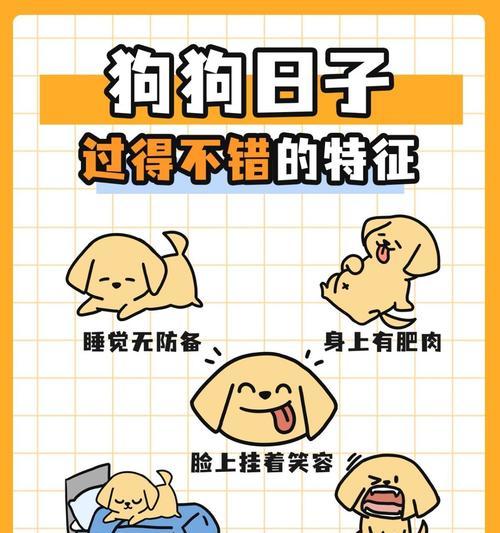 狗狗的睡眠习惯与周期（探寻狗狗睡眠的奥秘）