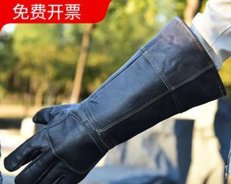 解密犬类噬力（揭开手套之谜）