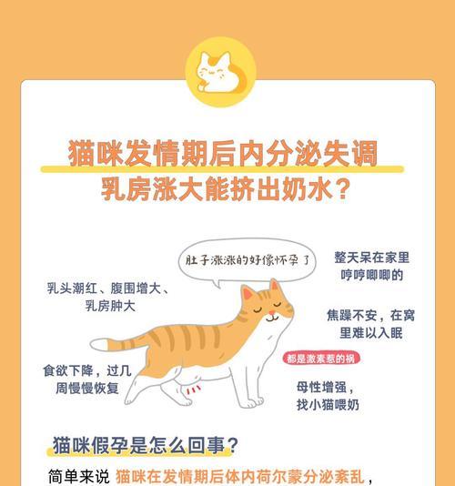 猫咪的繁殖周期与再怀孕时间（探究猫咪再次怀孕的间隔期和生育能力）