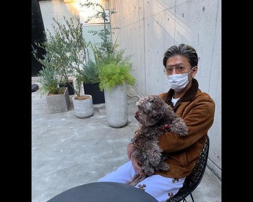 拥有价值100万的爱犬，木村拓哉掀起宠物风潮（揭秘木村拓哉的心头至爱，一只价值百万的宠物犬）