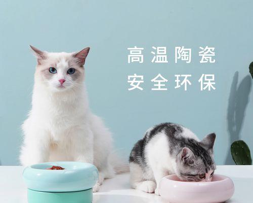 猫咪贪吃引发的疾病及预防措施