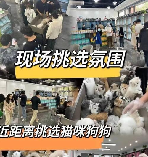 狗狗育苗后多久能洗澡？（了解适当的洗澡时间，让你的狗狗健康快乐）