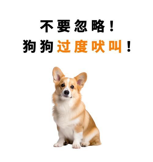 狗狗半夜不停叫，主人当心会误事（了解狗狗夜晚叫声的原因，保护家庭安全）