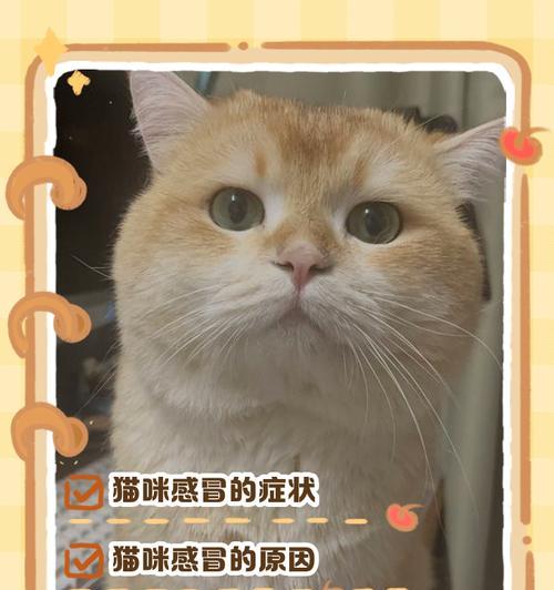 猫感冒治疗与预防方法（流鼻涕打喷嚏的猫如何有效治疗？合适的药物与护理方法来解决！）