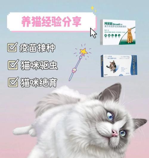 猫咪绝育前需打哪些疫苗？（绝育前必打疫苗，守护猫咪健康）