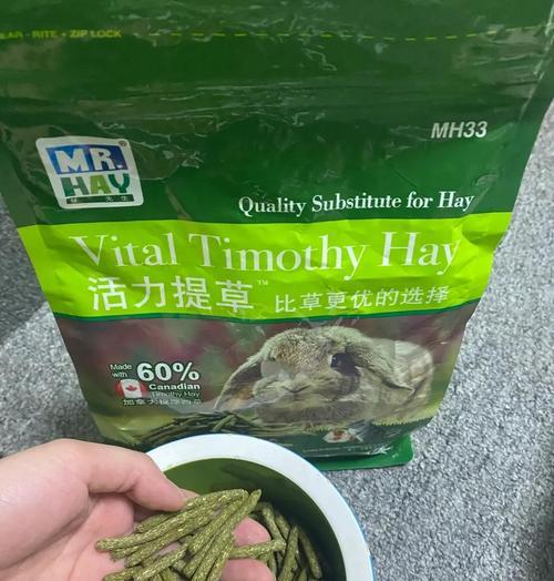 养龙猫的必备知识和准备事项（掌握龙猫饲养全科普，满满的干货为你准备！）