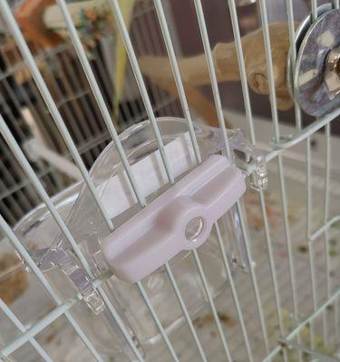 选择合适的食盆，让兔子健康成长（兔子食盆选购指南及使用建议）