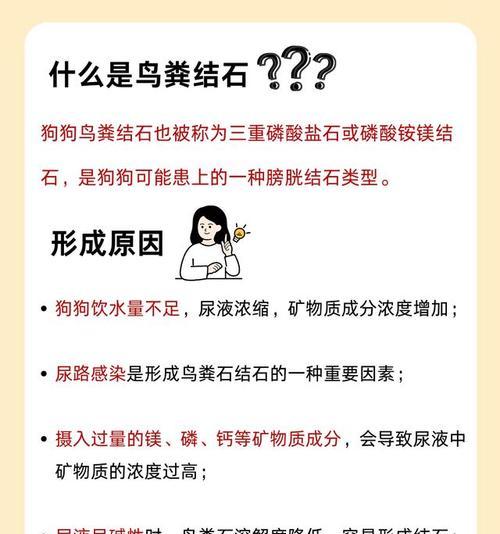 狗狗饮食防止结石的重要性（如何正确选择饮食以预防狗狗结石问题）