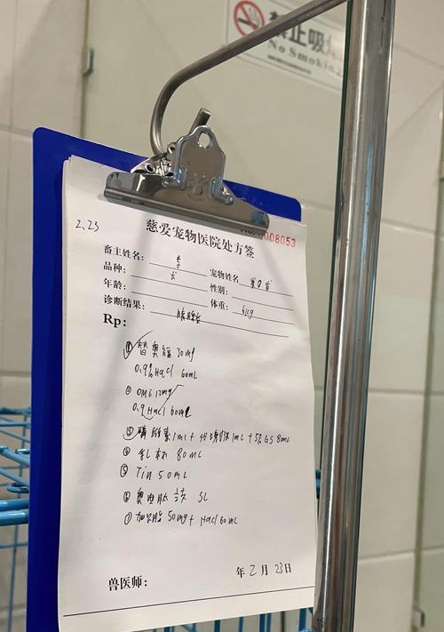 狗狗胰腺炎的治疗方法与点滴打什么？（胰腺炎治疗的关键-合适的点滴药物选择）