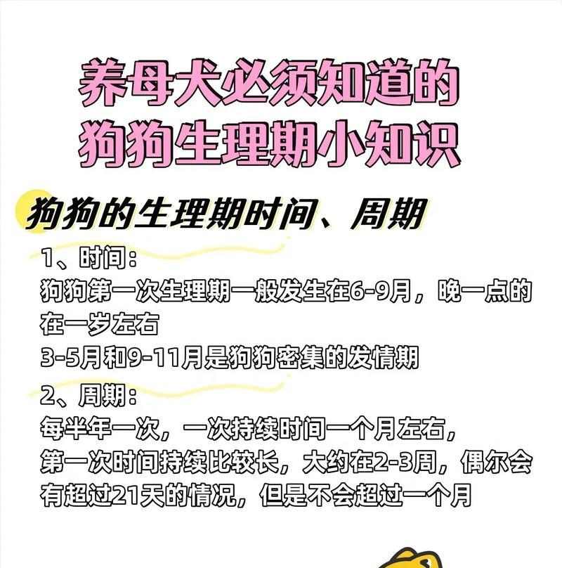 母狗的哺乳频率及其（了解母狗哺乳的规律及喂养注意事项）