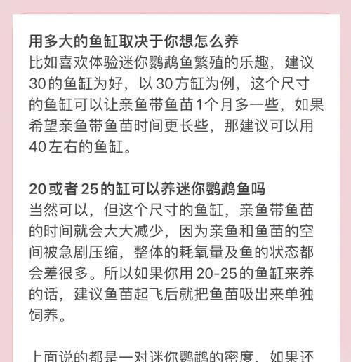 宠物小鱼的喂养频率及注意事项（了解宠物小鱼的饮食习惯，做好喂养的准备）