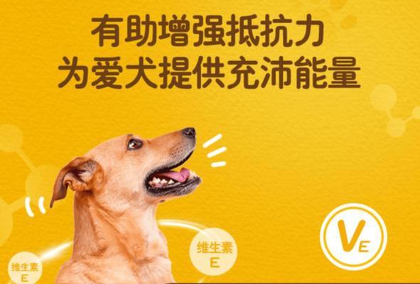 狗狗增强抵抗力的药物——保障宠物健康（探索药物改善狗狗免疫系统的有效方法）
