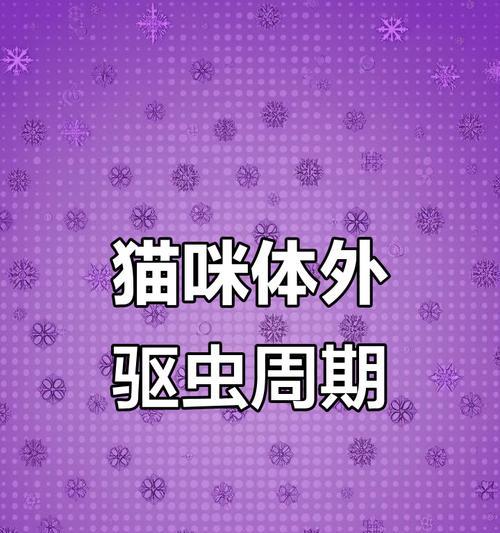 猫的驱虫周期及注意事项（科学驱虫保护猫咪健康）