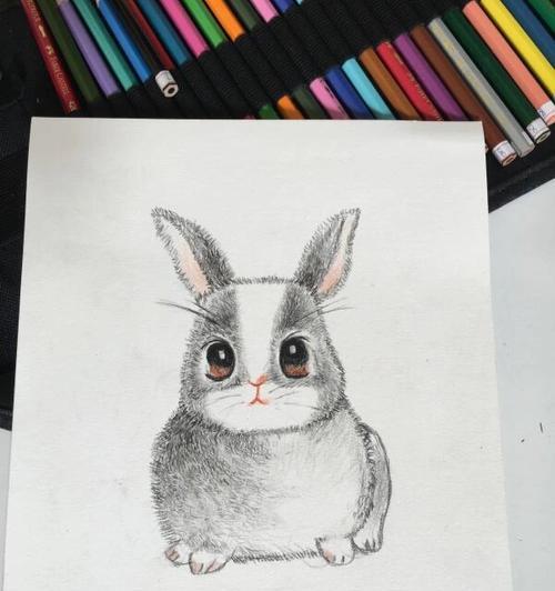 兔子是如何识别主人的？（以味道和声音为关键特征进行识别）