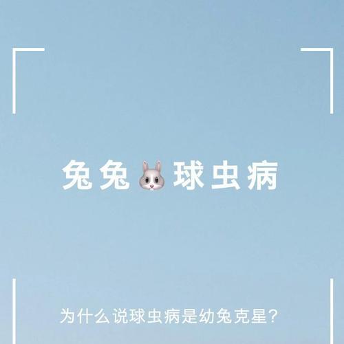 兔子球虫病的传染途径与预防措施（探究兔子球虫病的传播途径及防治）