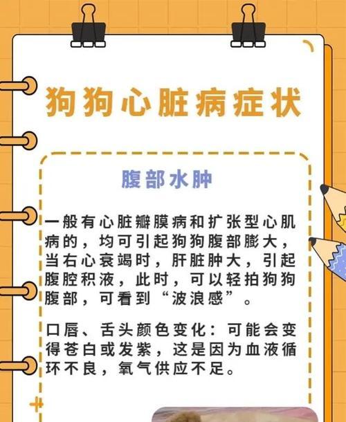 幼犬生病（了解幼犬生病的表现，保证它们的健康和幸福）