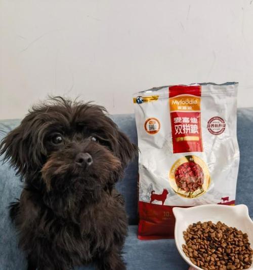 预防与治疗狗狗冠状病毒的方法（保护宠物狗免受冠状病毒感染的有效措施）