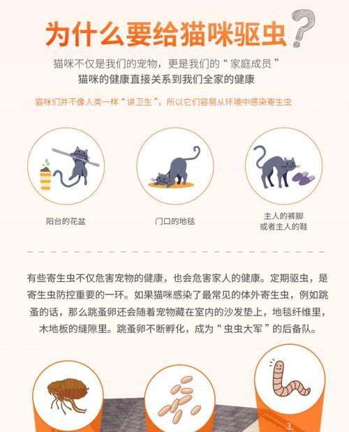 小猫驱虫滴剂使用后多久可以洗澡（关于小猫使用驱虫滴剂后的洗澡时间及注意事项）