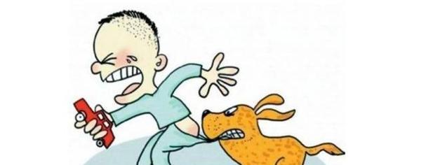 以萨摩为什么咬人？（探究萨摩犬咬人行为的原因及预防措施）