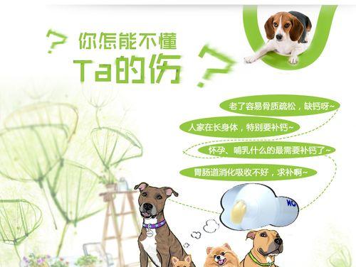 狗狗低血钙恢复时间及方法解析（宠物狗低血钙问题分析与解决方案探讨）