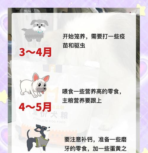幼犬喂养手册（了解幼犬的饮食需求和适宜食物，让你的小狗健康成长）